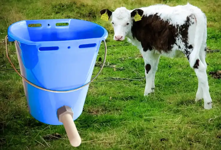 WIADRO DO POJENIA CIELĄT 8L ZAWÓR SMOCZEK WIADERKO PREMIUM SKALA