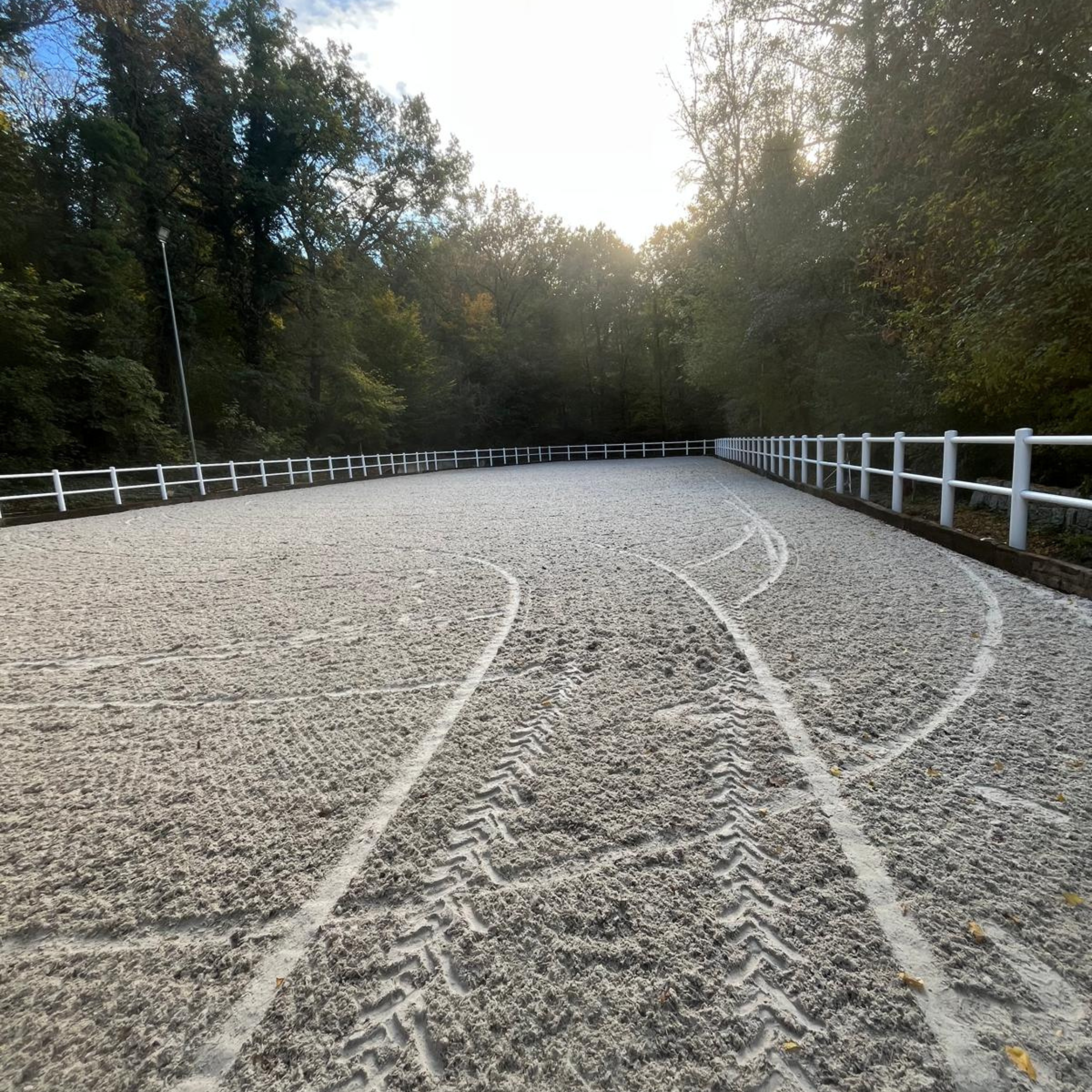 ogrodzenie areny jeździeckiej w szkółce jeździeckiej