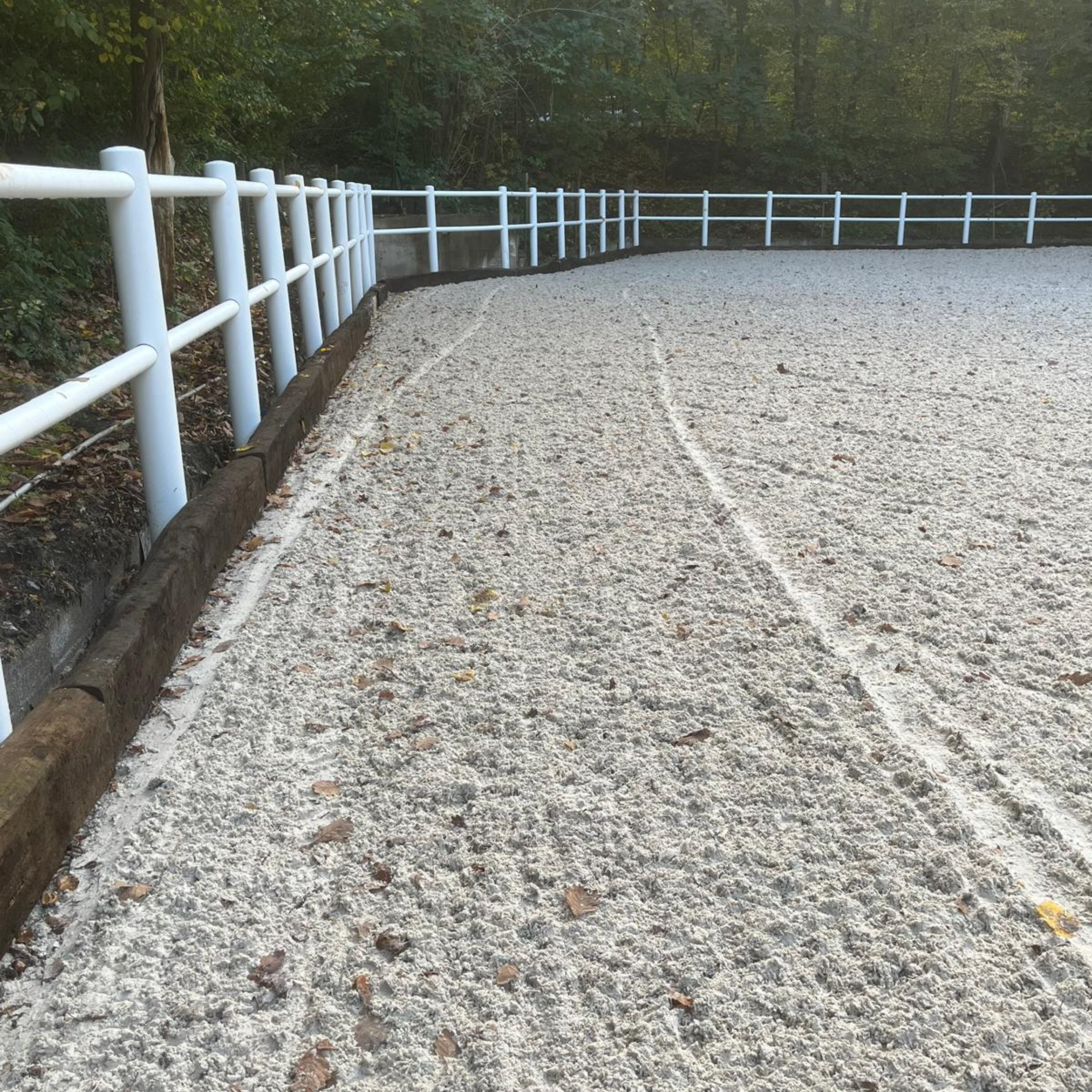 ogrodzenie placu do jazdy dla koni