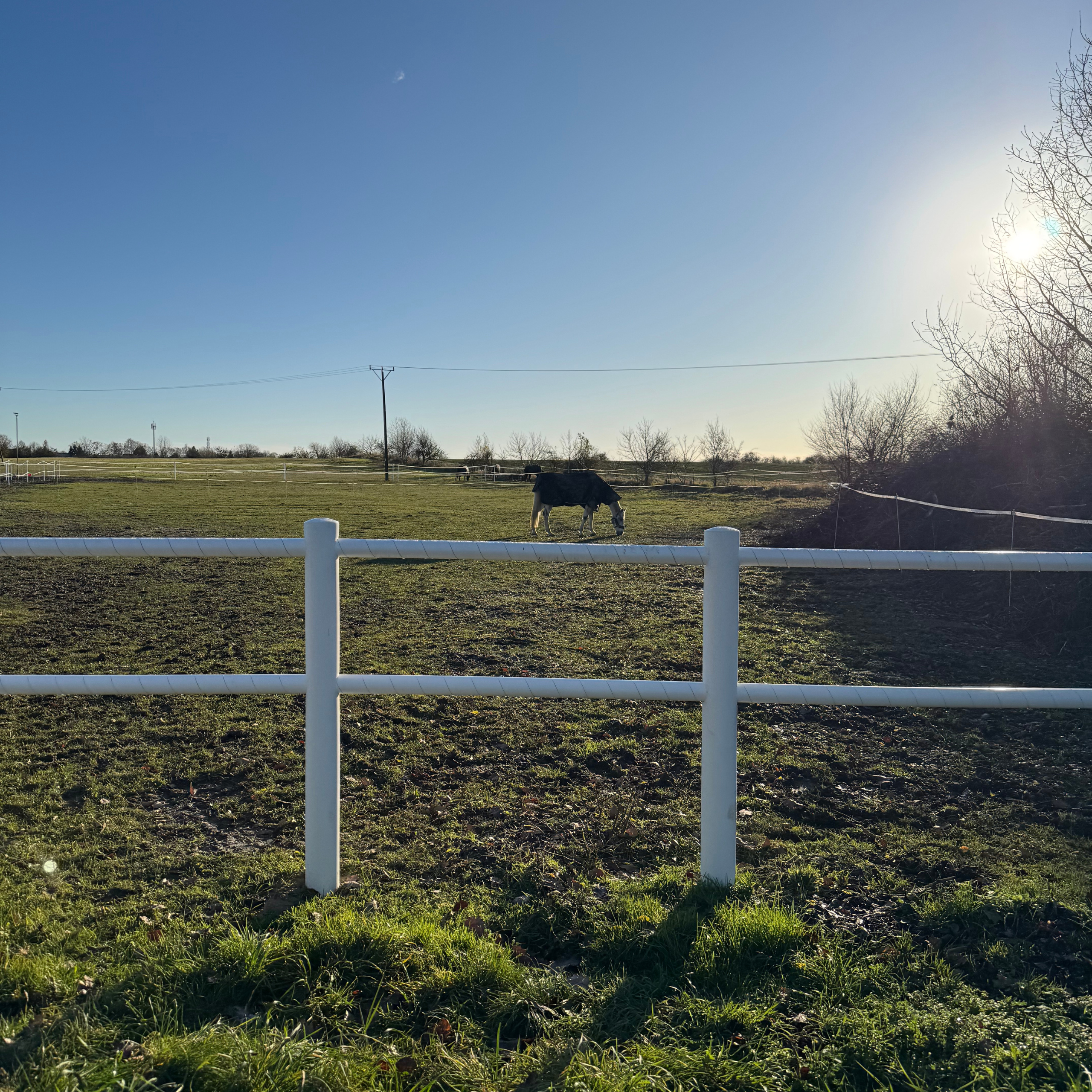 stałe ogrodzenie dla koni